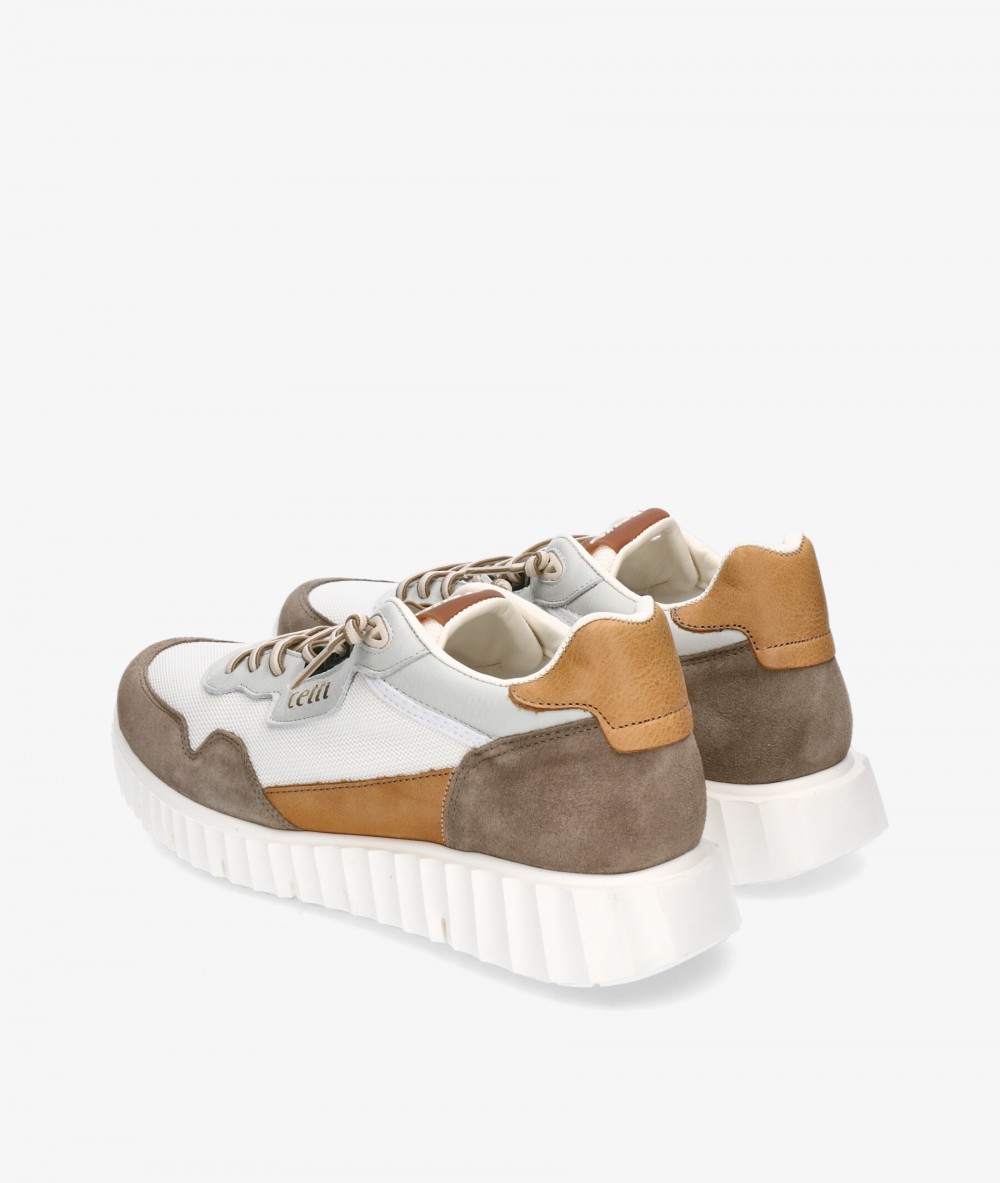 Cetti Sneakers  C-1345 in beige