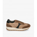 Taupe Taupe