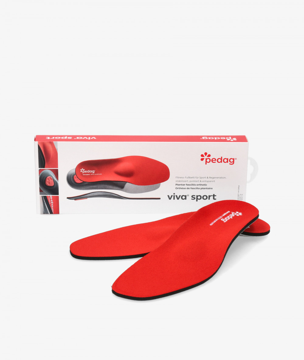 PLANTILLAS PEDAG 181 VIVA SPORT