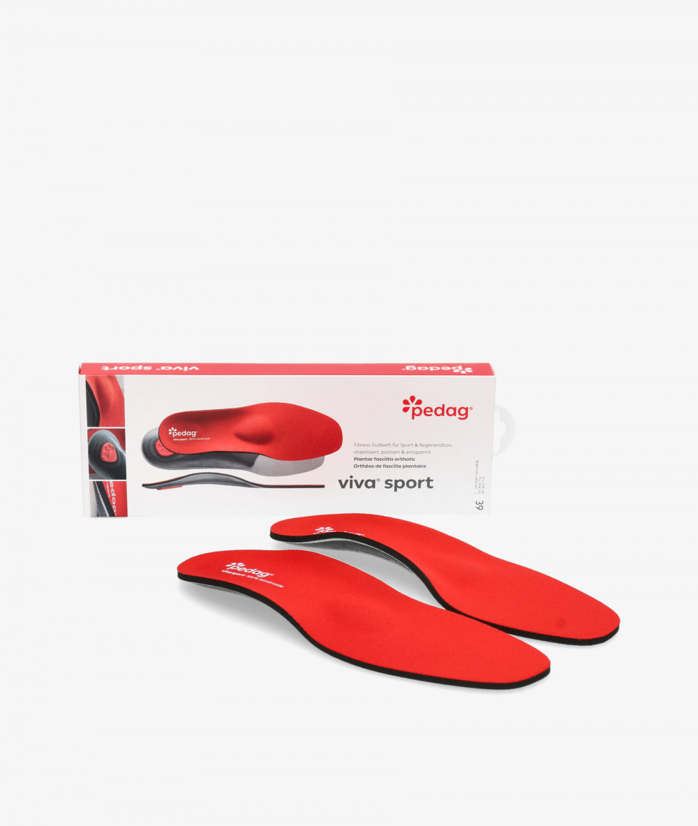 PLANTILLAS PEDAG 181 VIVA SPORT