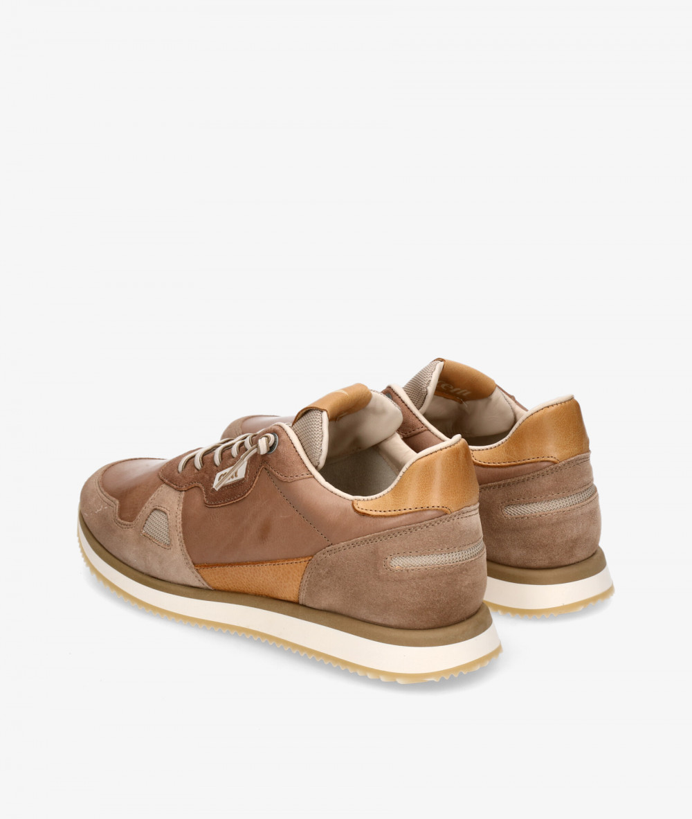 Cetti Sneakers  C-1397 in leather