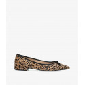 Leopardo