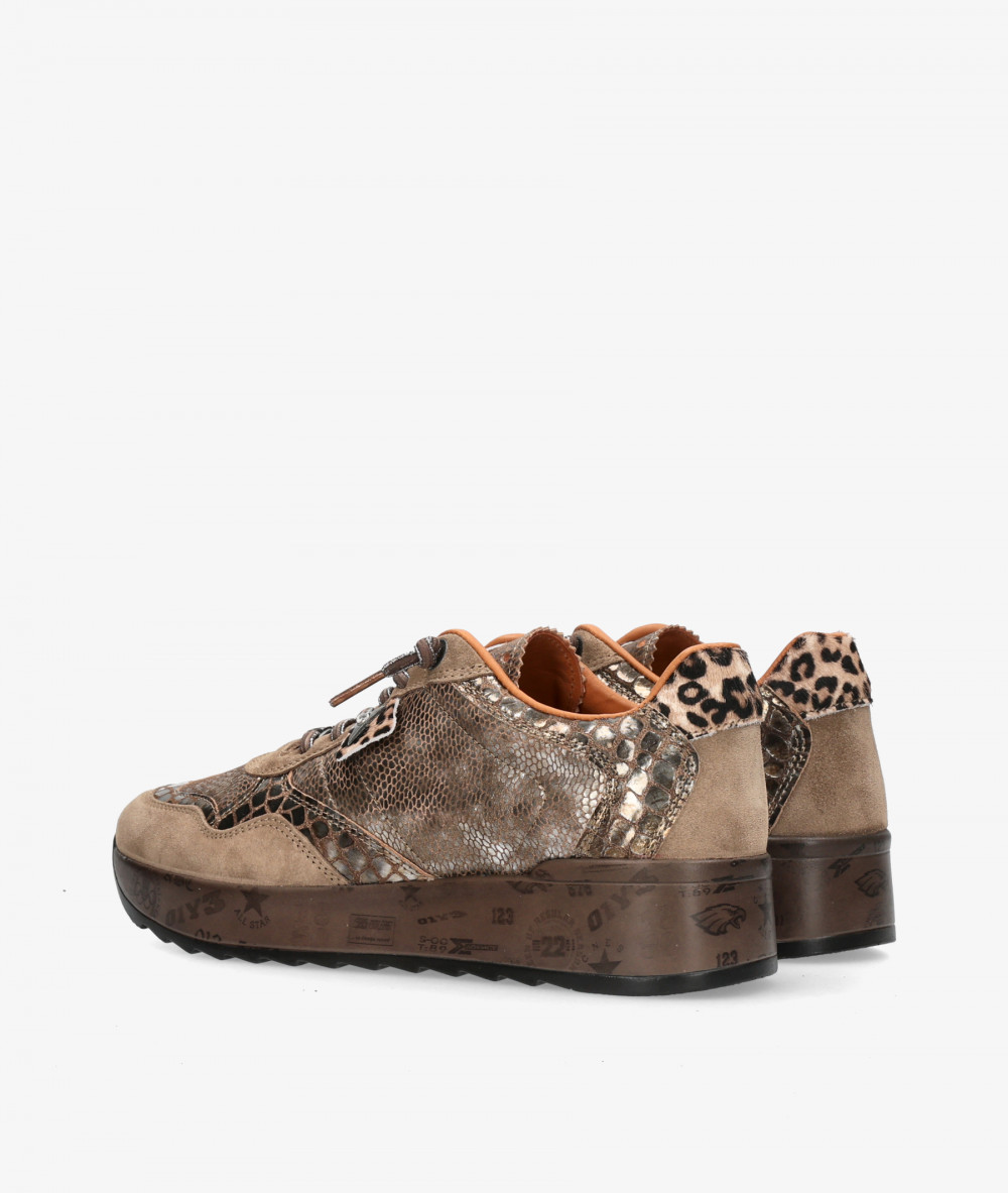 Cetti Sneakers  C-848 SRA XL in taupe snake print