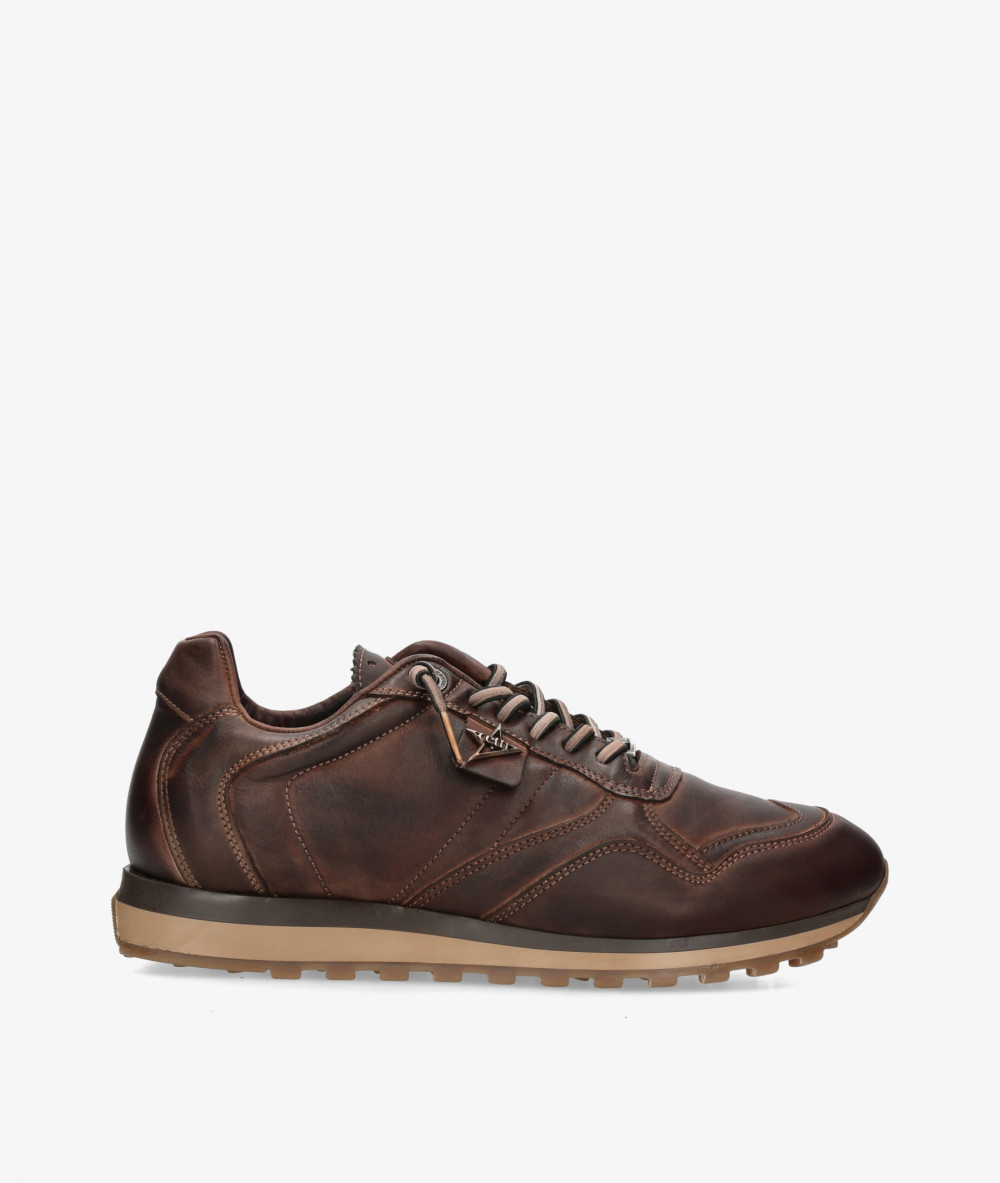 Cetti Sneakers  C-848 in brown