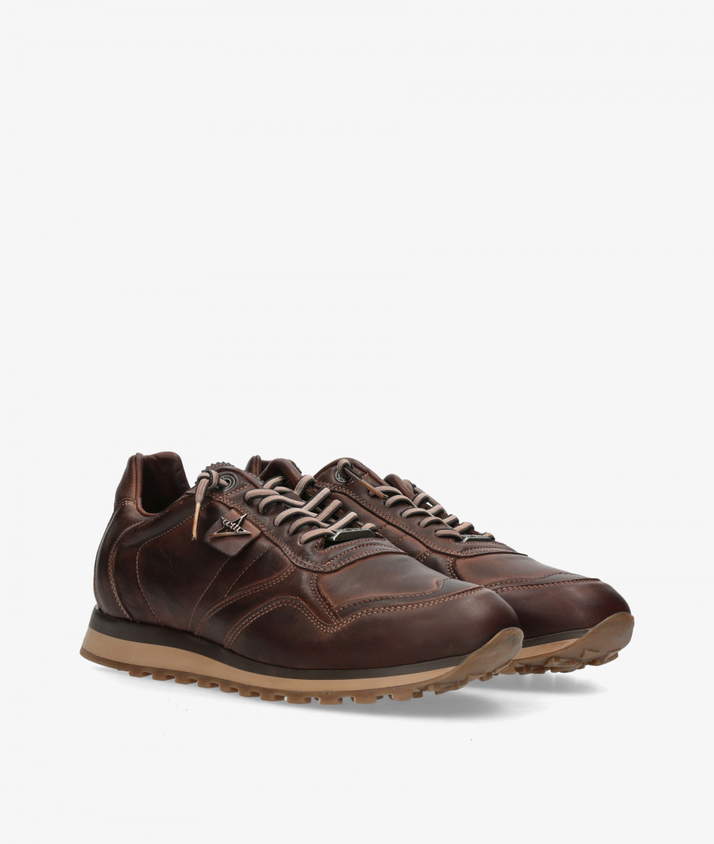 Cetti Sneakers  C-848 in brown