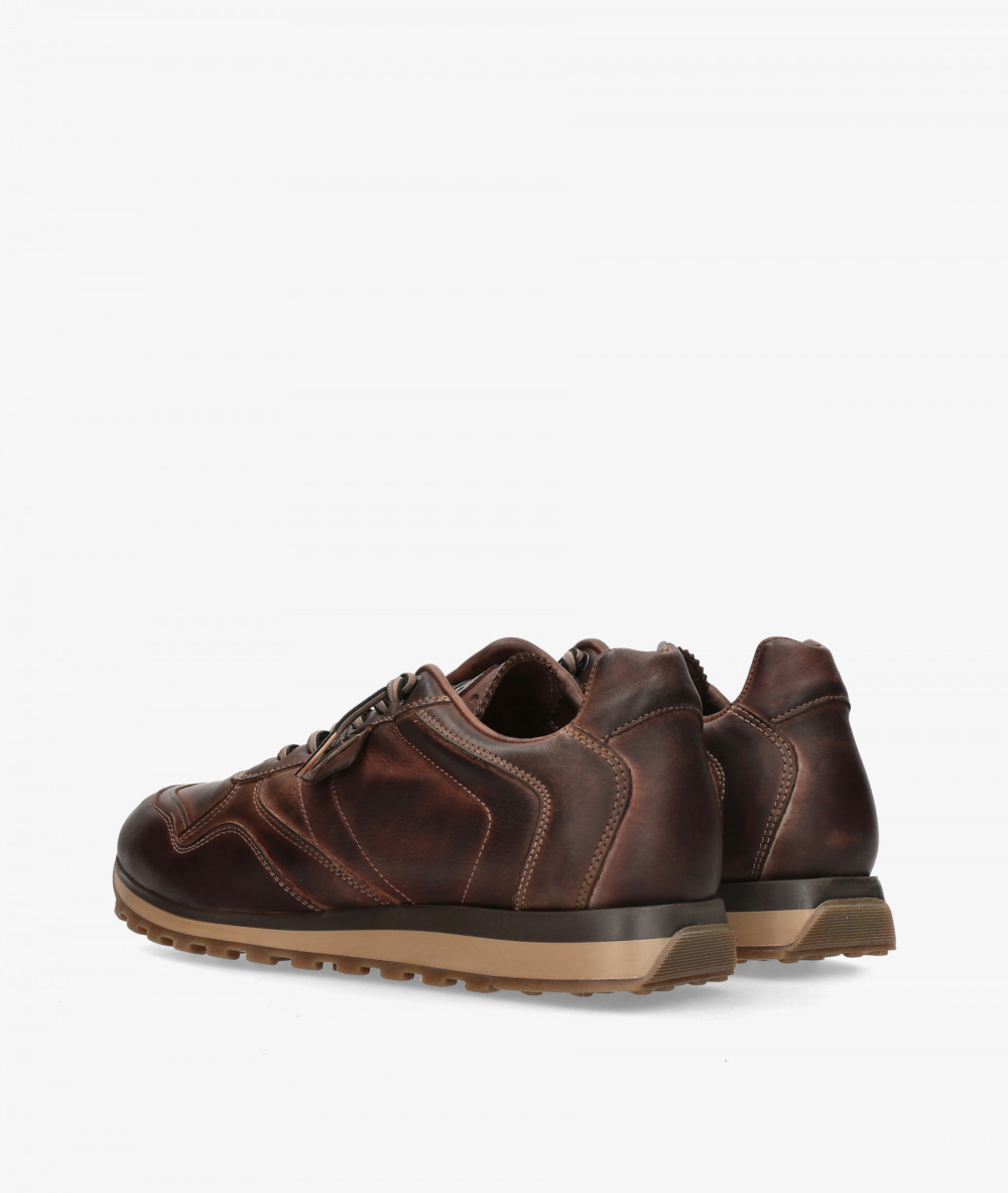 Cetti Sneakers  C-848 in brown