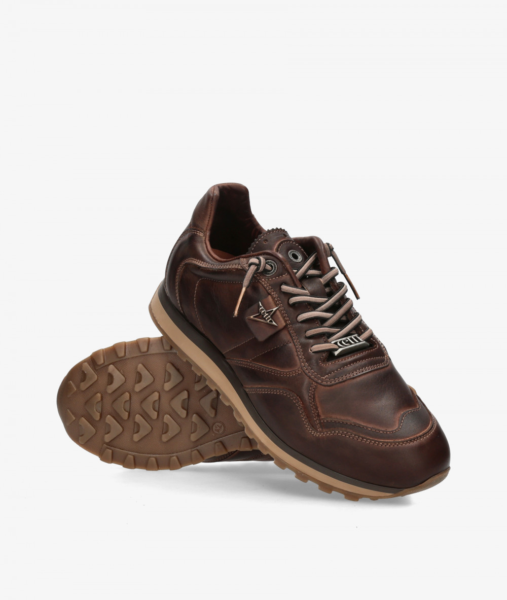 Cetti Sneakers  C-848 in brown