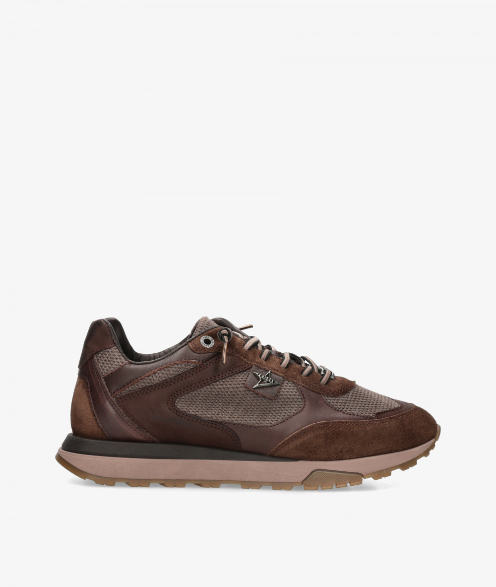Cetti Sneakers  C-1428 in brown