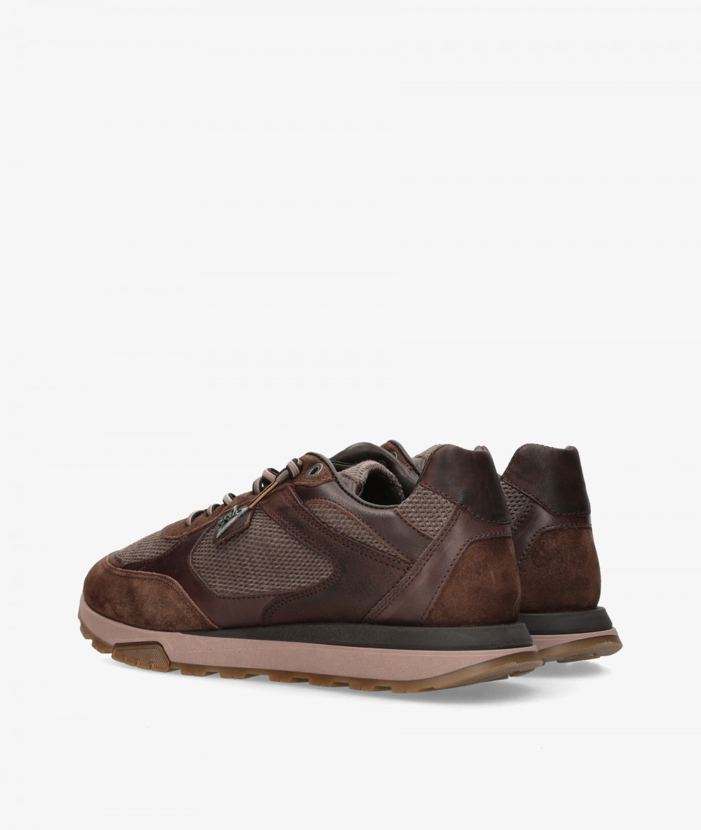 Cetti Sneakers  C-1428 in brown