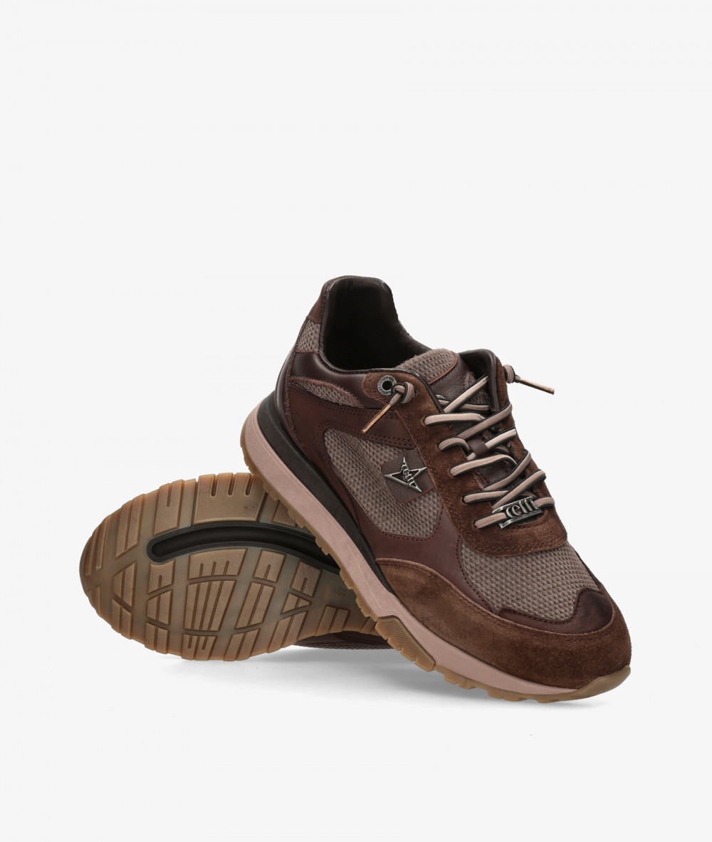 Cetti Sneakers  C-1428 in brown