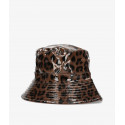 Leopardo