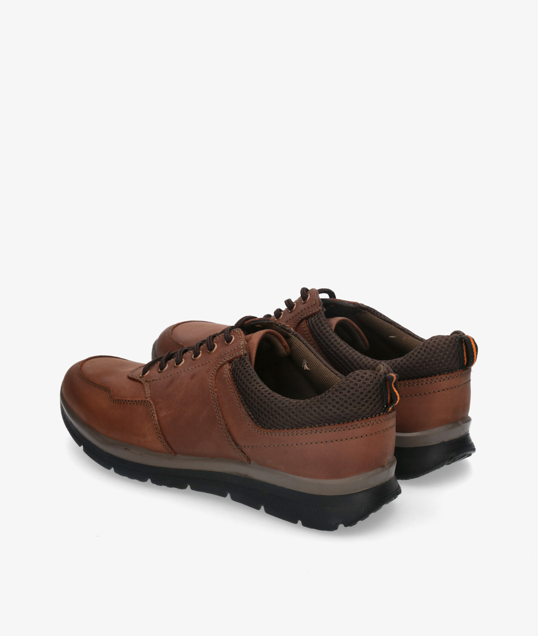 alpe botines